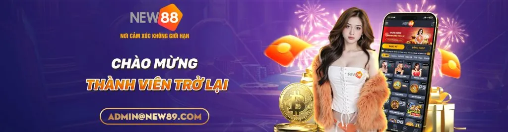 Hình ảnh minh họa quy trình nâng cấp VIP tại nem88