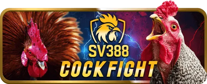 Cá cược thể thao nem88